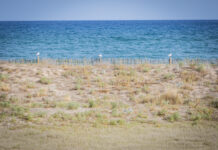 El ACA califica de excelente el agua de la playa de El Prat