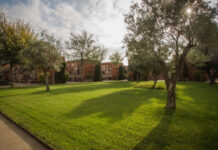 Los Cementerios Municipales ampliarán horarios por Todos los Santos