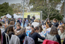 Más de 1.200 personas participan en la Alcachofa de este año