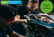 Convocatoria abierta para solicitar subvenciones para favorecer el autoempleo de jóvenes en el marco del Programa FSE+