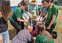«El Macetohuerto» comienza a brotar en la terraza del Ribera