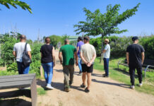 El servicio de Mediación ofrece herramientas y recursos en la gestión positiva de conflictos a personas en situación de exclusión social y residencial