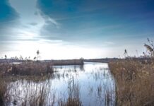 El alcalde de El Prat, Lluís Mijoler, valora la declaración de ampliación de la ZEPA como doblemente positiva, ya que protege el medio natural y al mismo tiempo dificulta la ampliación del aeropuerto