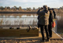 Un nuevo mirador que permite observar flamencos da el pistoletazo de salida al Plan para fomentar el turismo sostenible en el Delta del Llobregat