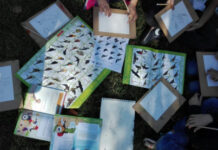 Este domingo, comienza el nuevo ciclo de actividades del juego ambiental