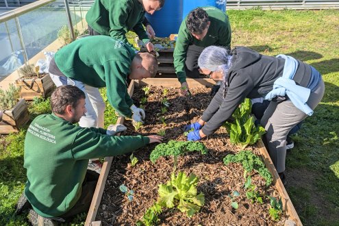 El ‘Macetohuerto’ del Ribera sigue germinando